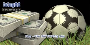 1XBET