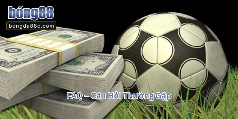 1XBET