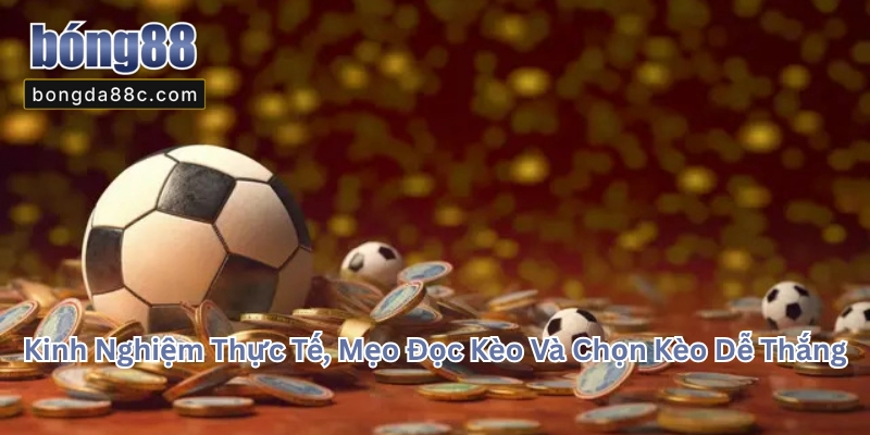 Các Loại Kèo Cá Cược Bóng Đá