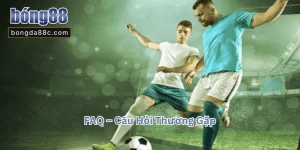Cược Đơn
