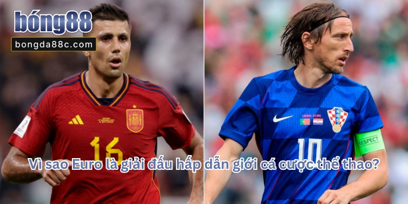 Euro Là Gì