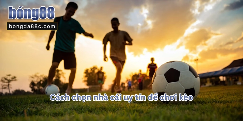 Kèo Nhà Cái Là Gì