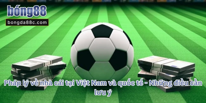 NHÀ CÁI LÀ GÌ