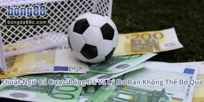 Thuật Ngữ Cá Cược Bóng Đ