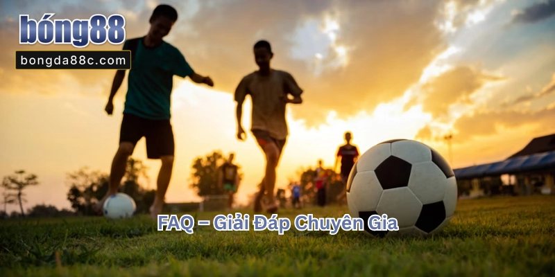 FAQ - Những câu hỏi thường gặp khi tìm hiểu về trang cá cược bóng đá