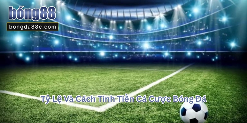 Tỷ lệ và cách tính tiền cá cược bóng đá