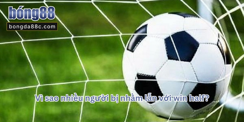 Win Half Là Gì